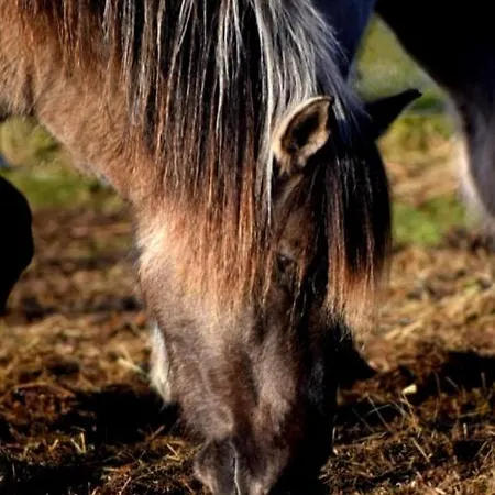 Boven Jan 572 Lejlighed