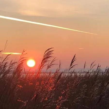 Boven Jan 572 덴헬데르