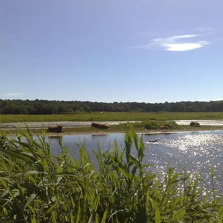 아파트 Boven Jan 572 *