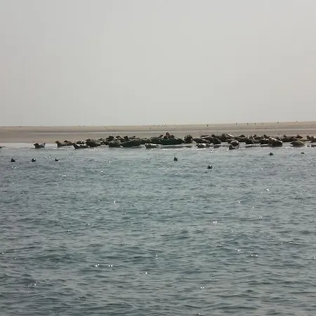 Boven Jan 572 아파트 덴헬데르